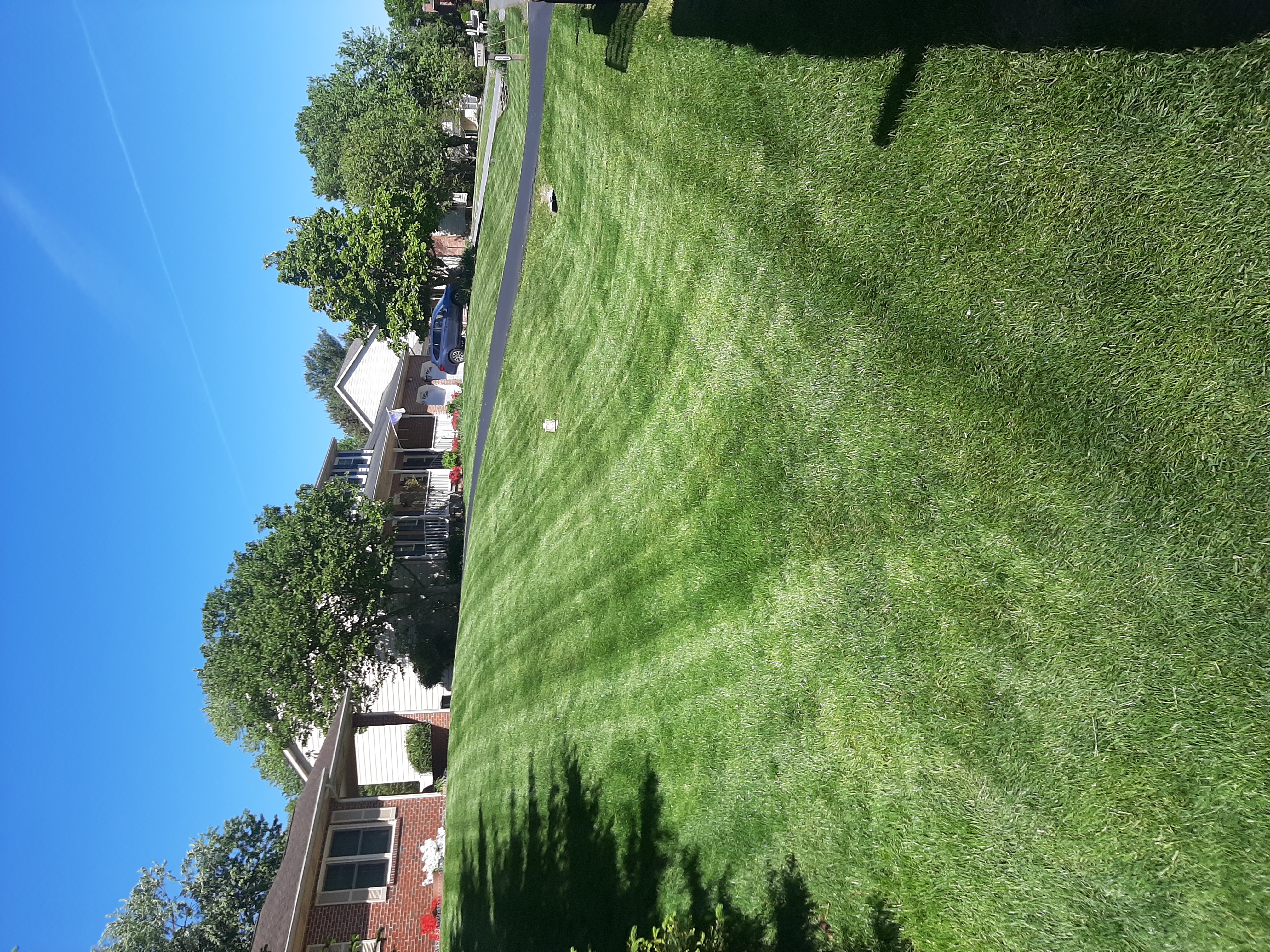lawnstripes.jpg